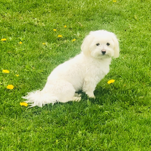 Meet your Posher, Fati - Picture 1 of 1